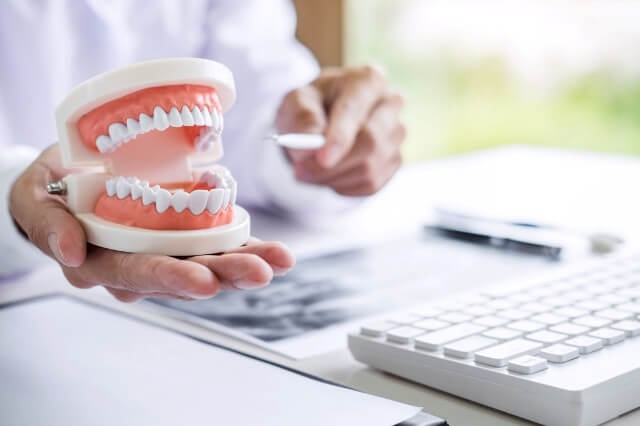 dentist-hand-holding-of-jaw-model-of-teeth