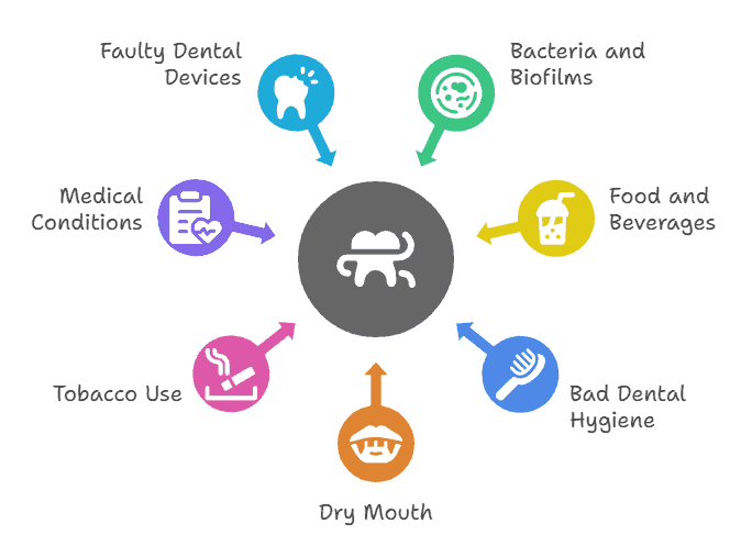 What Causes Dental Plaque