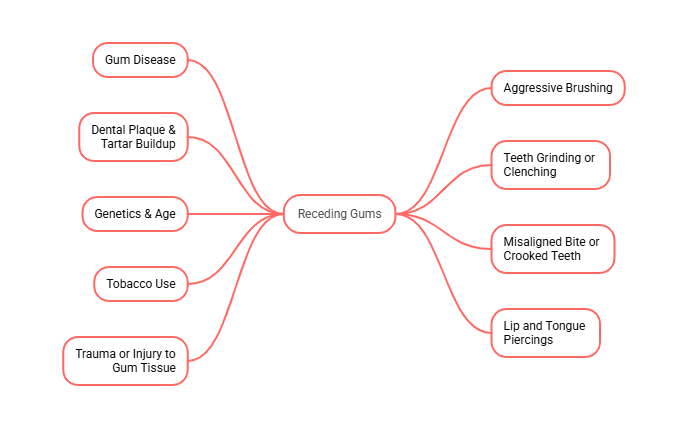 Receding Gums Causes